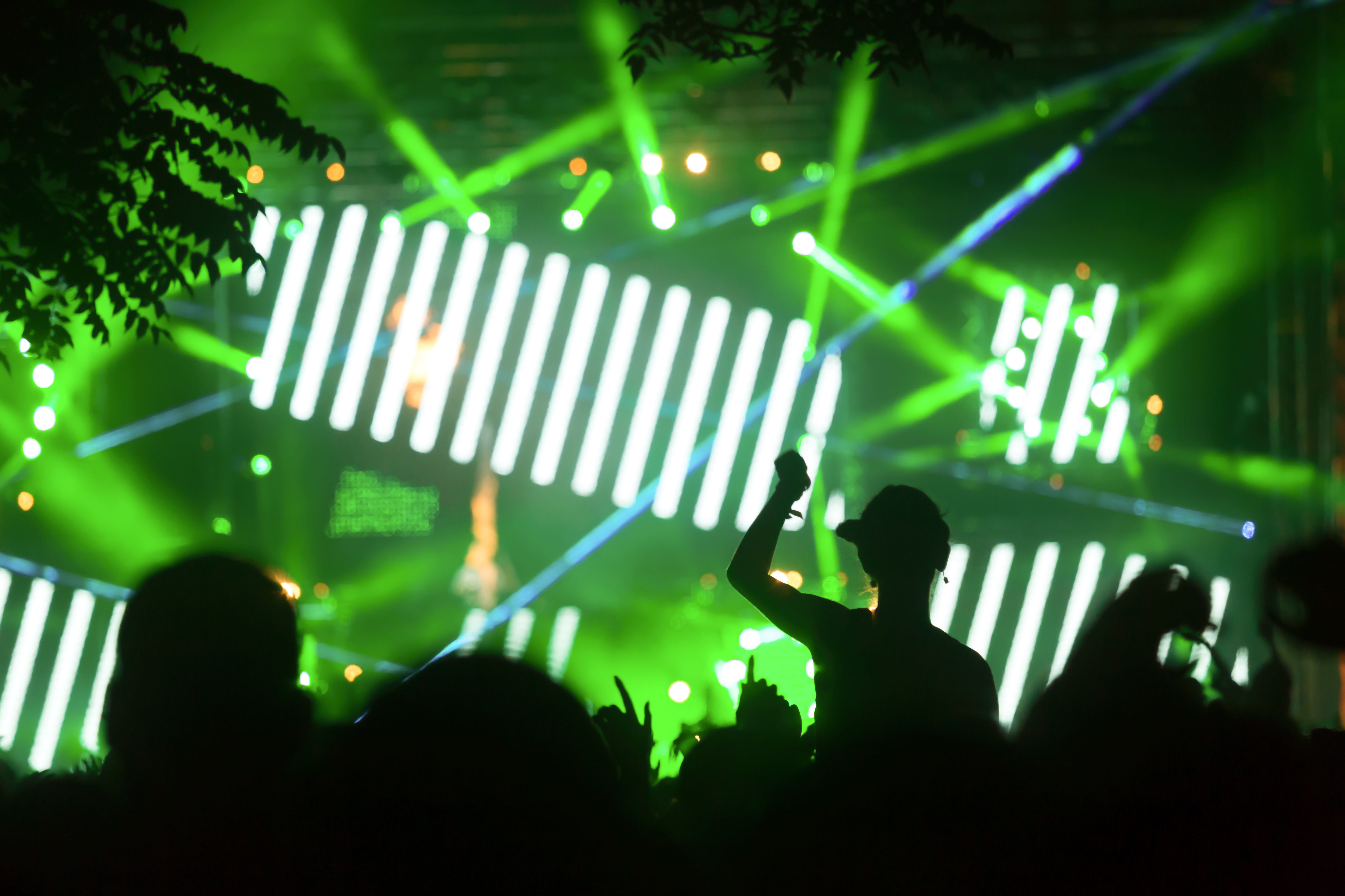 Enjoying Concert
